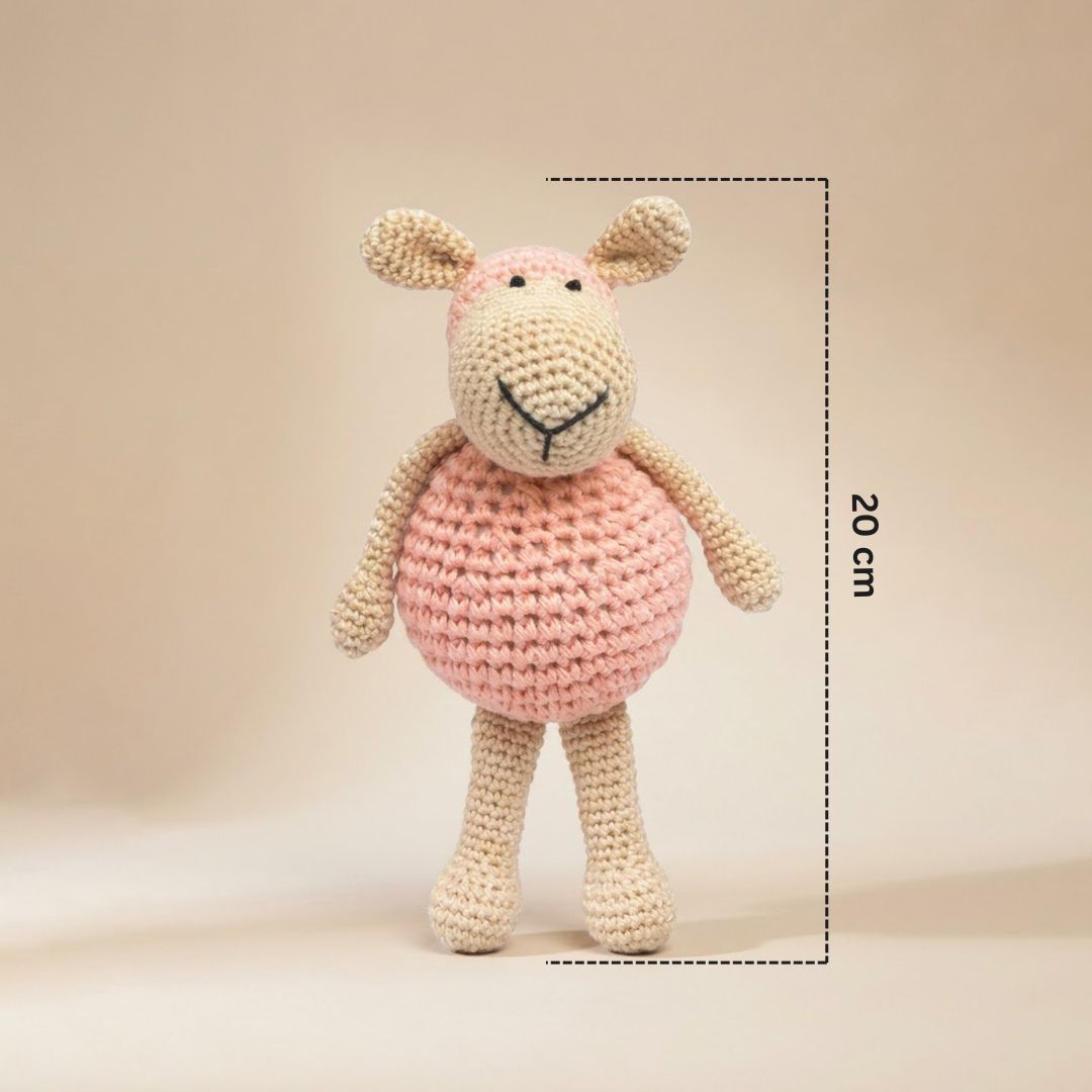 Molly the Sheep
