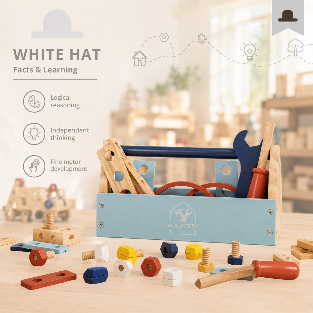 Mighty Mechanic - Tool Box